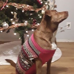 Meet your Posher, Dawn